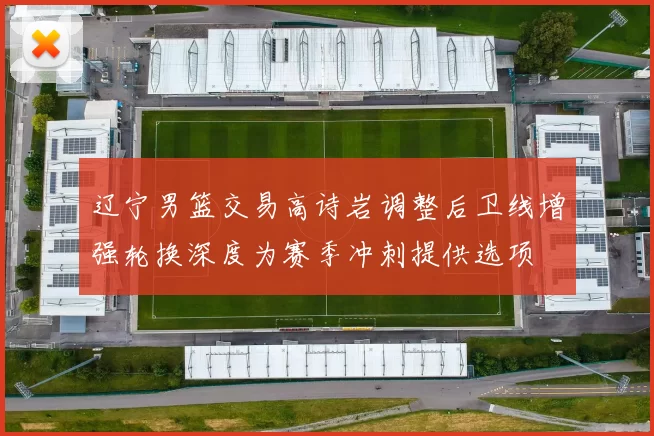 辽宁男篮交易高诗岩调整后卫线增强轮换深度为赛季冲刺提供选项